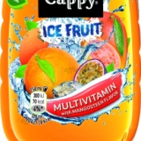 Sulas dzēriens CAPPY Ice Fruit Multivitamiīnu, 0.5 l(DEP)