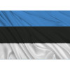 Igaunijas valsts karogs