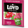 Augļu tēja LOYD Rosehip & Raspberry FS 500x2g